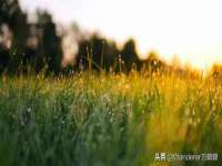 武汉铁兵科技有限公司